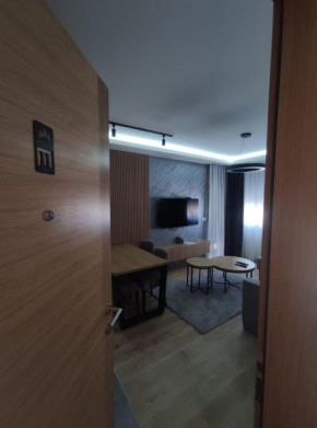 Apartman Djuric 012
